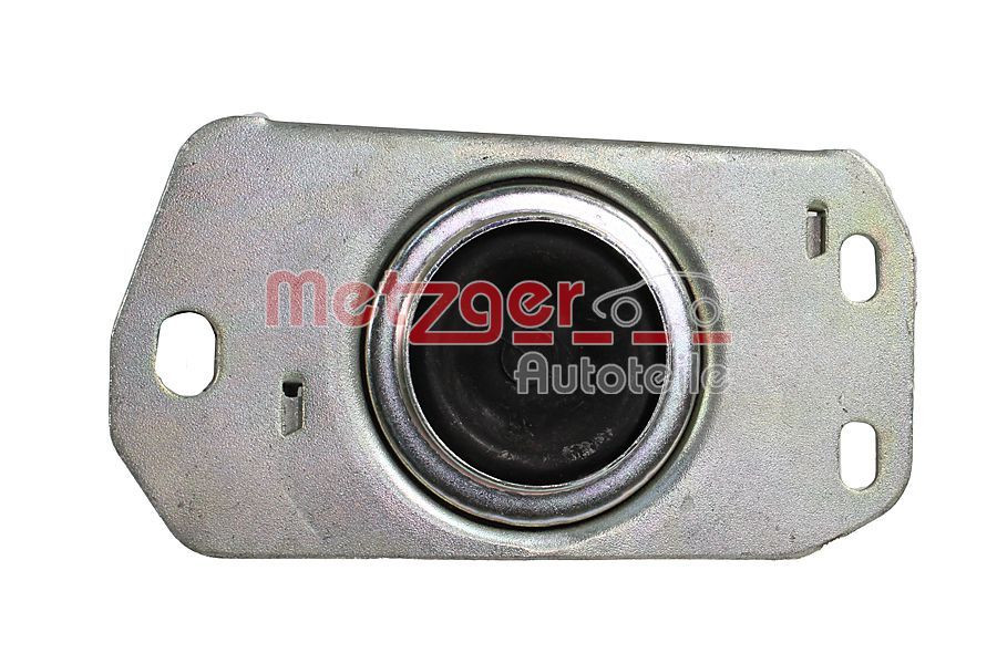 Variklio montavimas METZGER 8053910