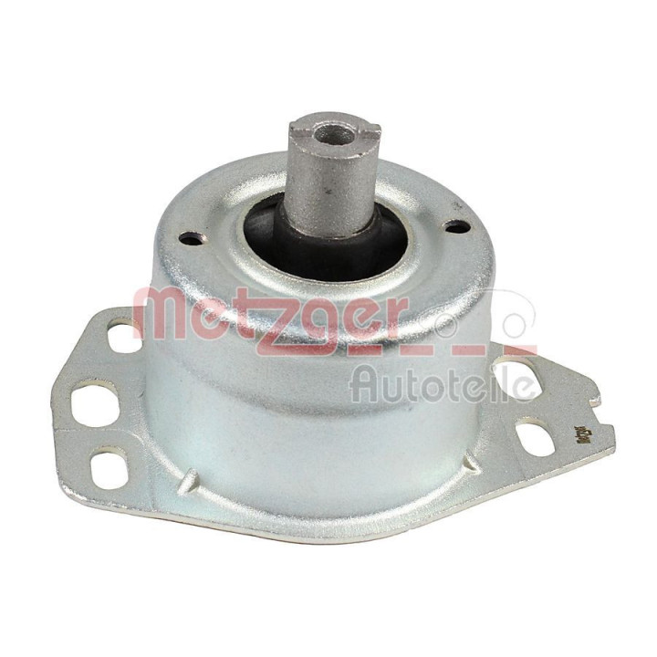 Montavimas, neautomatinė transmisija METZGER 8054043