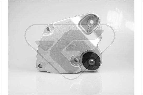 Variklio montavimas HUTCHINSON 532A62