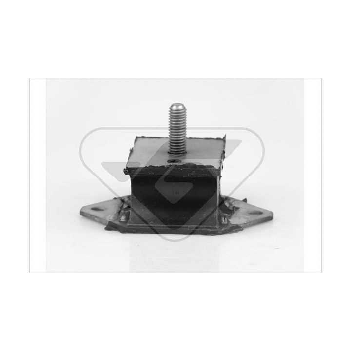 Variklio montavimas HUTCHINSON 534465