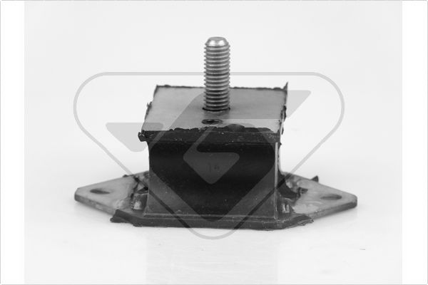 Variklio montavimas HUTCHINSON 534465