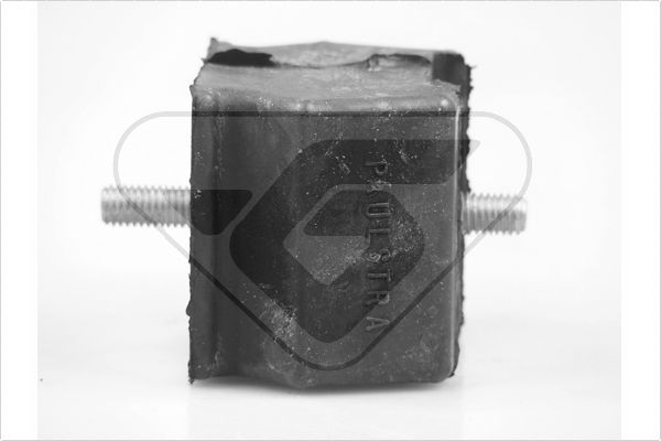 Variklio montavimas HUTCHINSON 534973