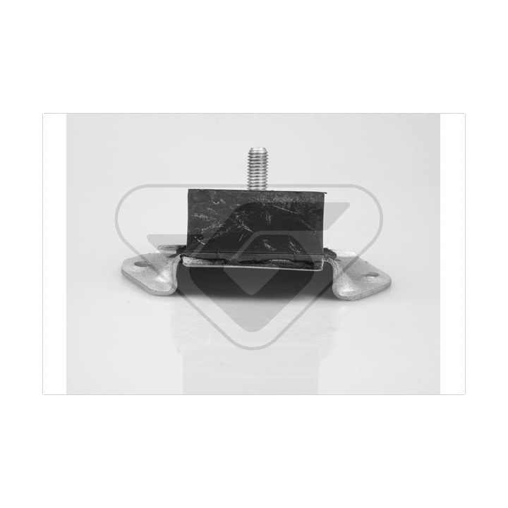 Variklio montavimas HUTCHINSON 534983