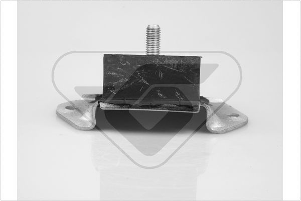 Variklio montavimas HUTCHINSON 534983