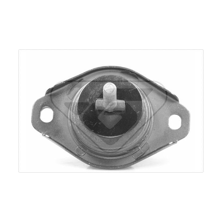 Variklio montavimas HUTCHINSON 535854