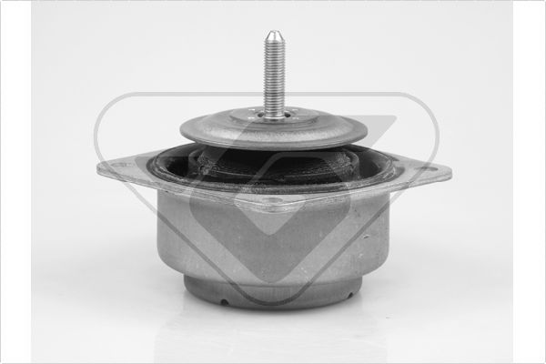 Variklio montavimas HUTCHINSON 535964