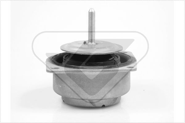 Variklio montavimas HUTCHINSON 535966