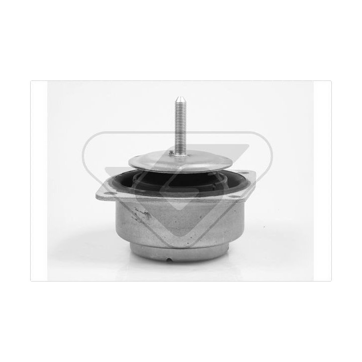 Variklio montavimas HUTCHINSON 535968