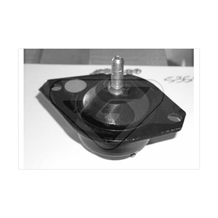 Variklio montavimas HUTCHINSON 535982