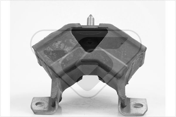 Variklio montavimas HUTCHINSON 538043