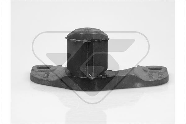 Variklio montavimas HUTCHINSON 538109