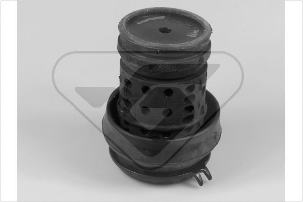 Variklio montavimas HUTCHINSON 538231