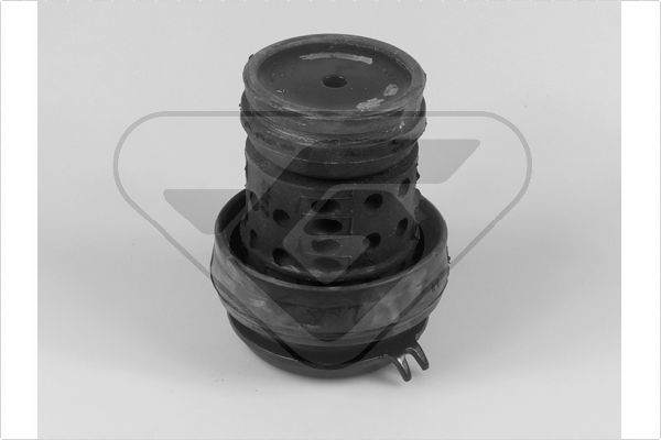 Variklio montavimas HUTCHINSON 538232