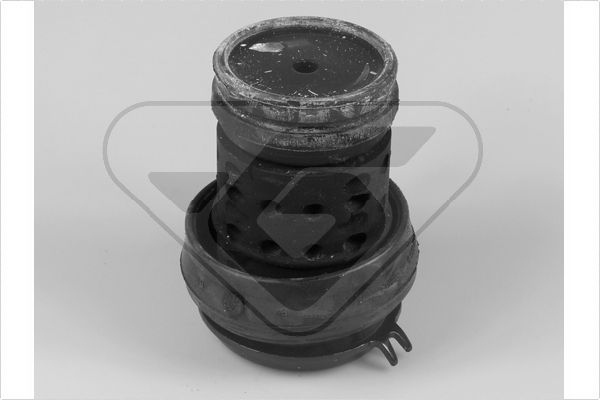 Variklio montavimas HUTCHINSON 538233