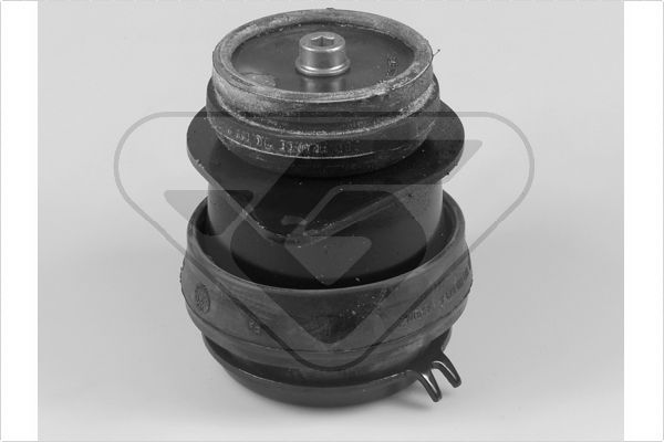 Variklio montavimas HUTCHINSON 538236