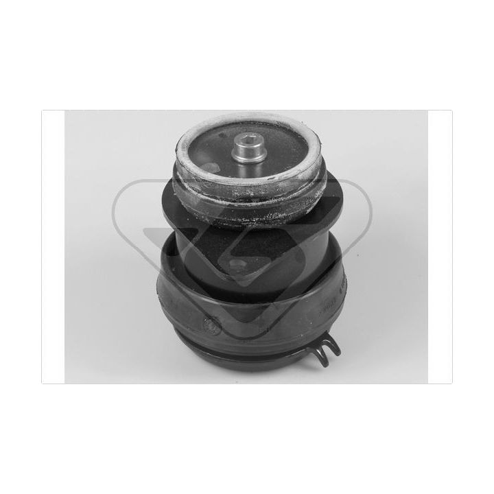 Variklio montavimas HUTCHINSON 538237