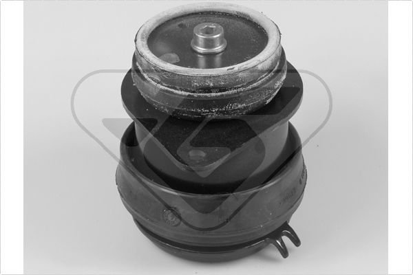 Variklio montavimas HUTCHINSON 538237