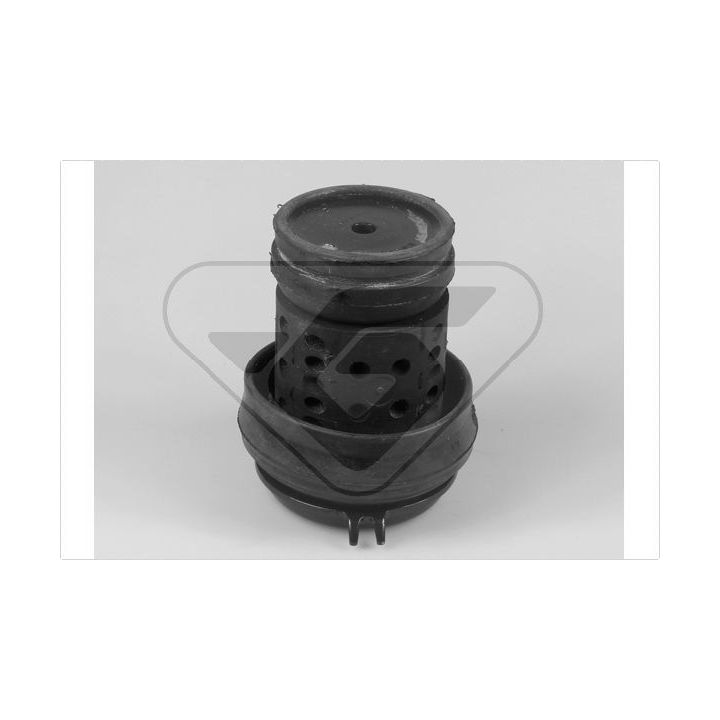 Variklio montavimas HUTCHINSON 538266