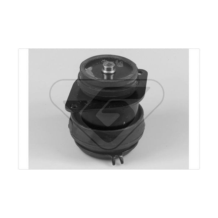 Variklio montavimas HUTCHINSON 538267