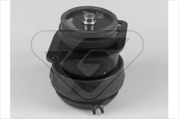 Variklio montavimas HUTCHINSON 538267