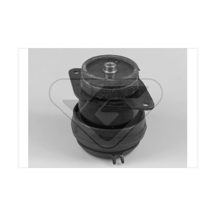 Variklio montavimas HUTCHINSON 538268