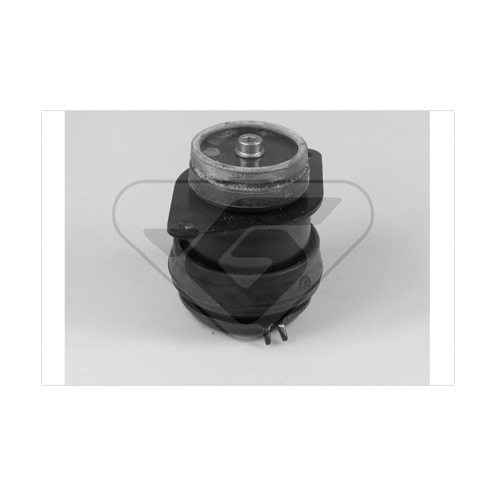 Variklio montavimas HUTCHINSON 538298