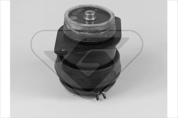 Variklio montavimas HUTCHINSON 538298