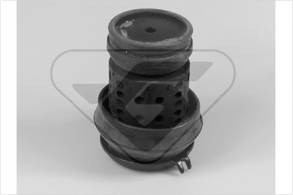 Variklio montavimas HUTCHINSON 538319