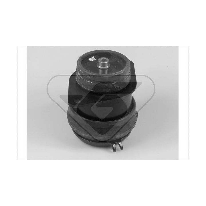 Variklio montavimas HUTCHINSON 538332