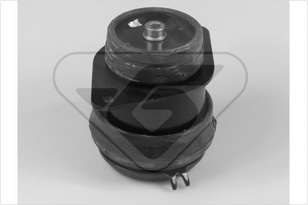 Variklio montavimas HUTCHINSON 538332