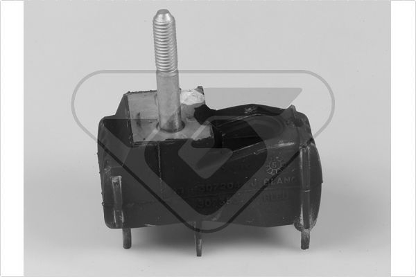 Variklio montavimas HUTCHINSON 538427