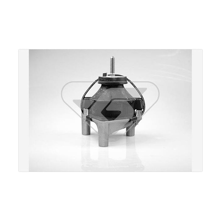 Variklio montavimas HUTCHINSON 538527