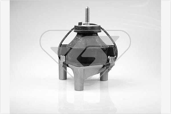 Variklio montavimas HUTCHINSON 538527