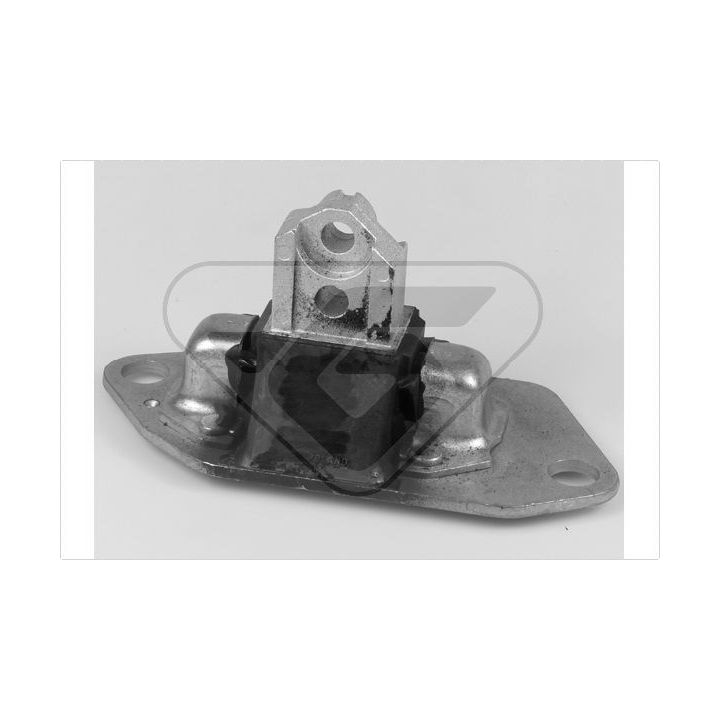 Variklio montavimas HUTCHINSON 538605