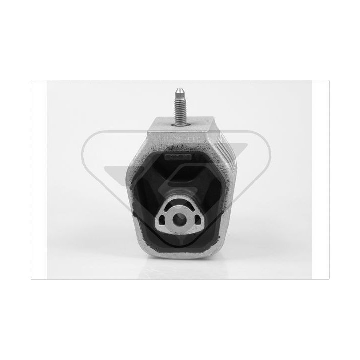 Variklio montavimas HUTCHINSON 538729