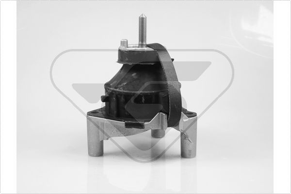 Variklio montavimas HUTCHINSON 538765