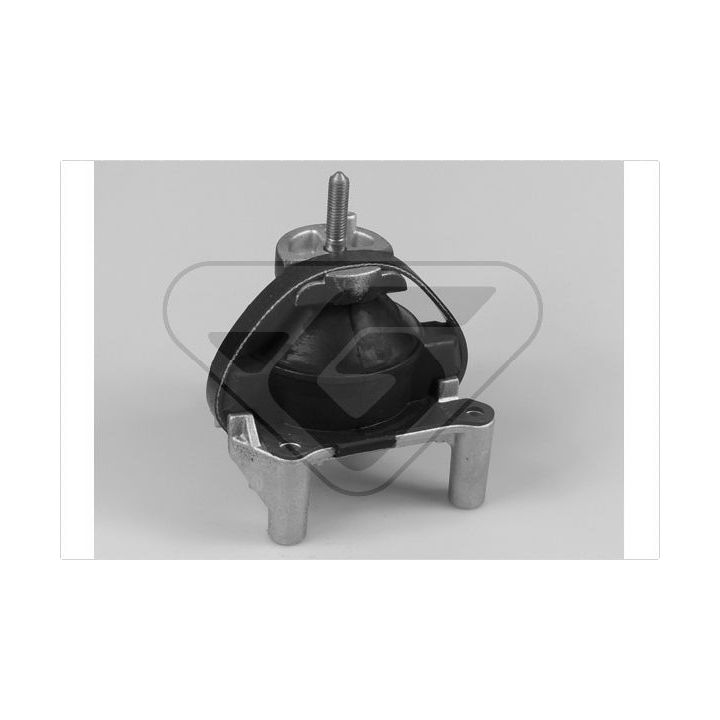 Variklio montavimas HUTCHINSON 538780