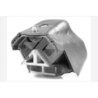 Variklio montavimas HUTCHINSON 538B47