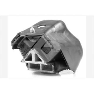 Variklio montavimas HUTCHINSON 538B48