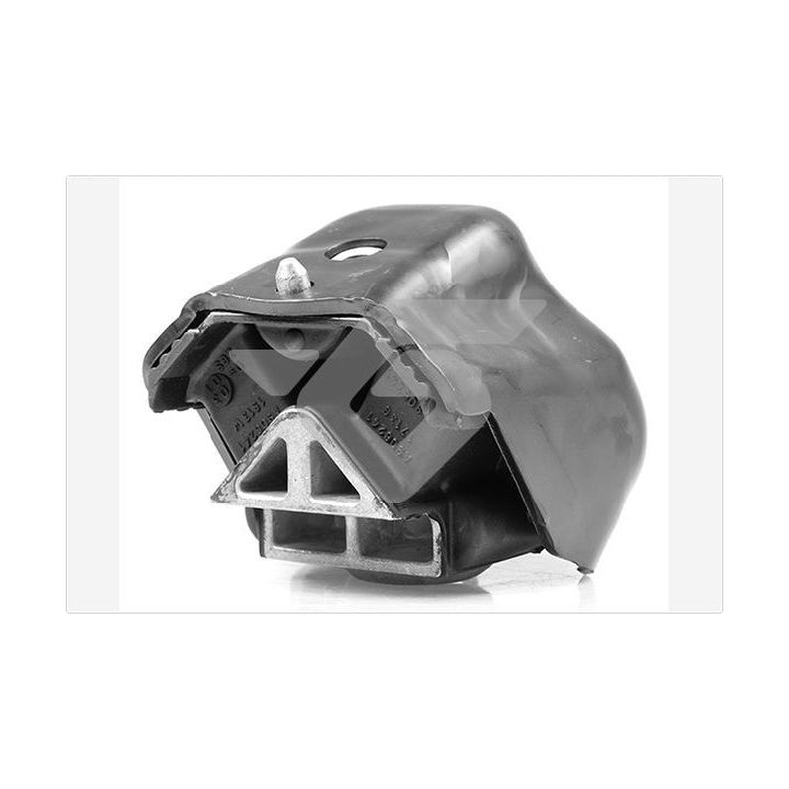 Variklio montavimas HUTCHINSON 538B48