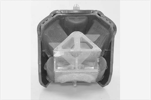 Variklio montavimas HUTCHINSON 538B49