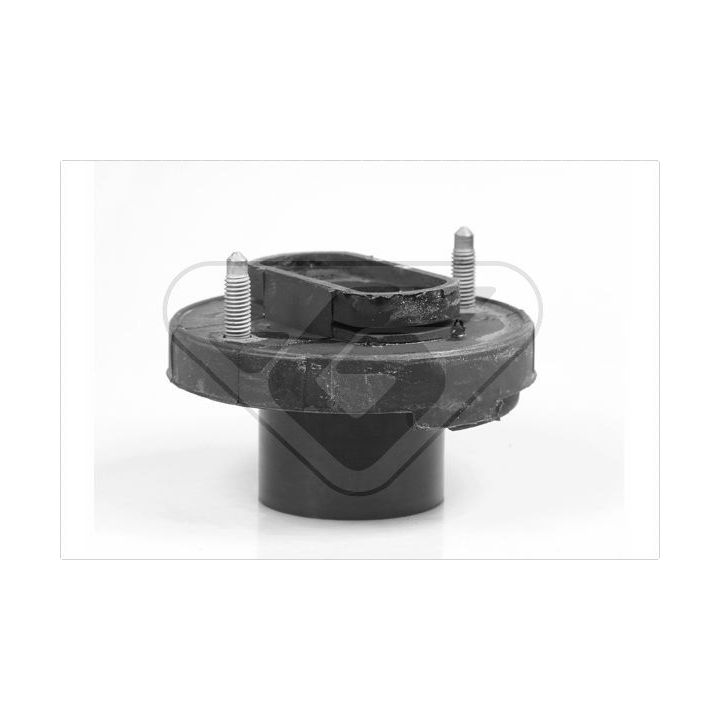 Variklio montavimas HUTCHINSON 539037