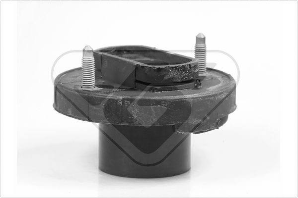 Variklio montavimas HUTCHINSON 539037