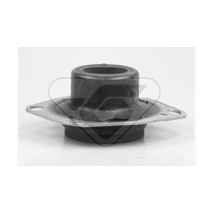 Variklio montavimas HUTCHINSON 539196