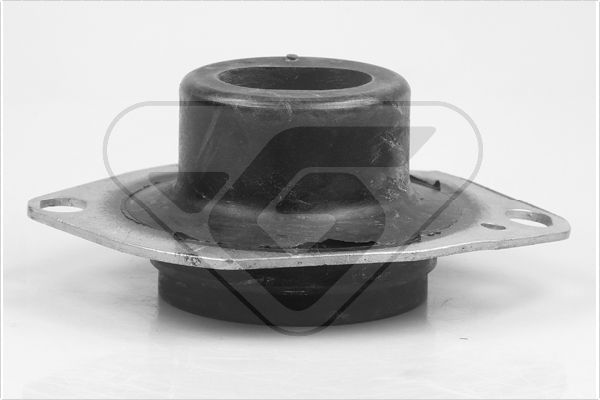 Variklio montavimas HUTCHINSON 539196