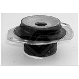 Variklio montavimas HUTCHINSON 539197