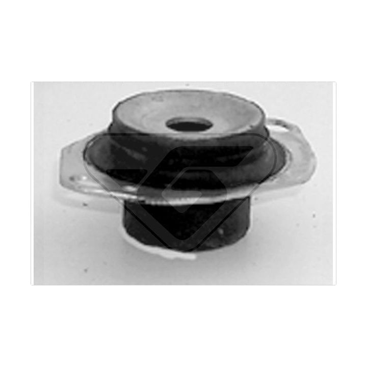 Variklio montavimas HUTCHINSON 539197