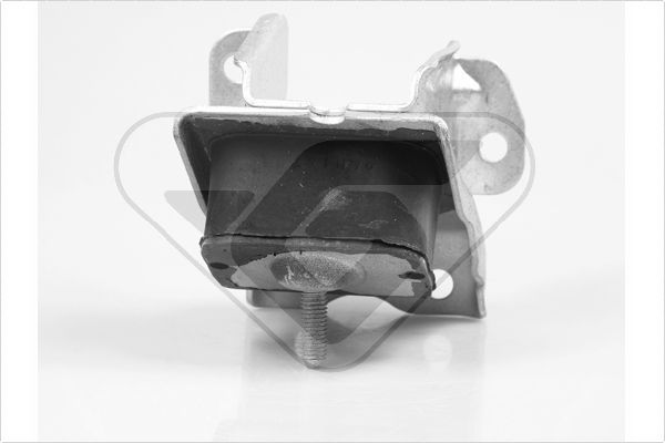 Variklio montavimas HUTCHINSON 539201