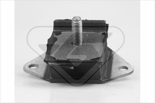 Variklio montavimas HUTCHINSON 539239