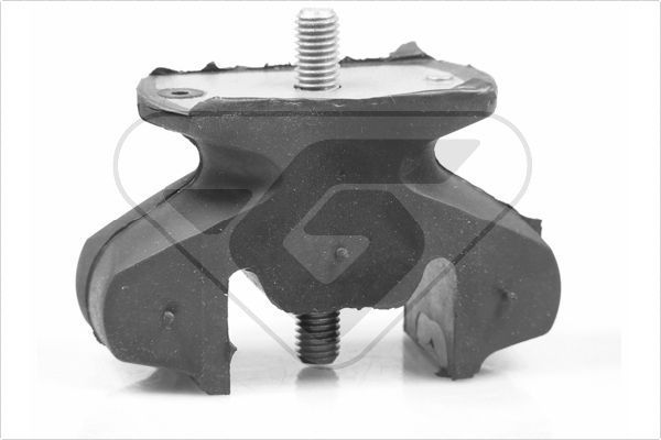 Variklio montavimas HUTCHINSON 539281